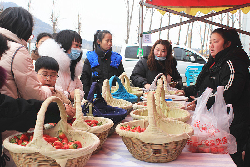 ��ݮ�h��c�´� | ���f�(zh��n)��ɽ�ڲ�ݮ��ժ��Ȥ���������w�e����ζ