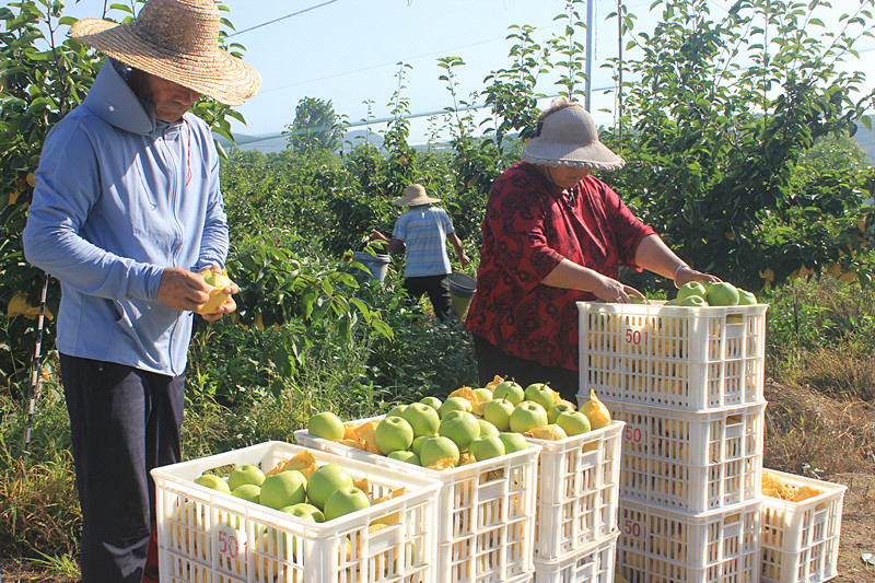 ��ó������Ѕ^(q��)ǰ�����@�����@���������ˣ�