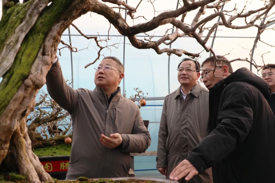 ���f��ί����(sh��)ӛ������ί��(sh��)ӛ����(gu��)�ށ�(l��i)�F�ǅ^(q��)�{(di��o)��ʯ��a(ch��n)�I(y��)�l(f��)չ����